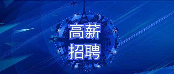 会务工作总结个人工作总结